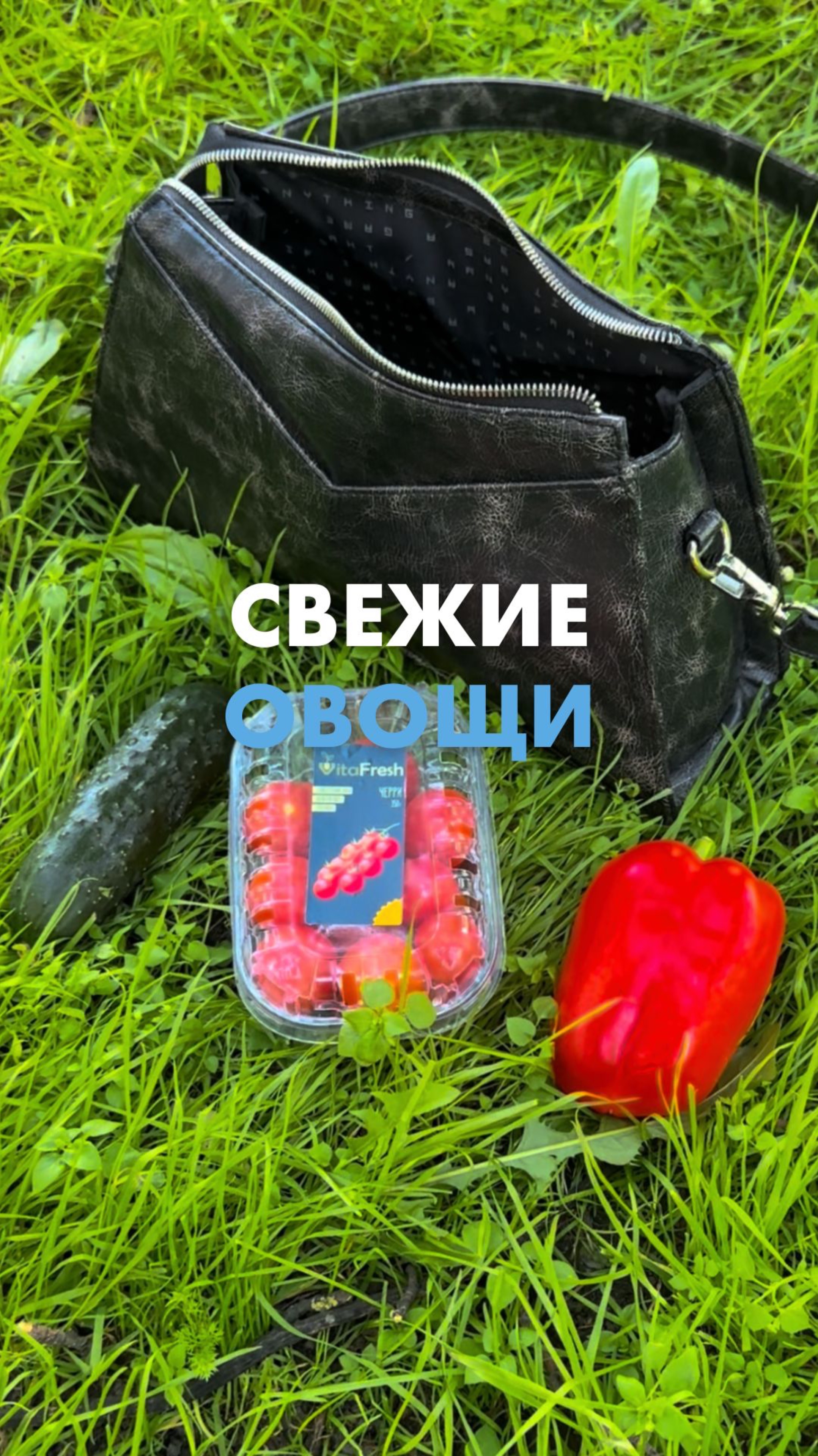 Там ещё был кабачок, но не поместился в кадр 😄