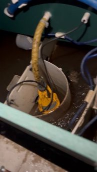 Работа Сэптика