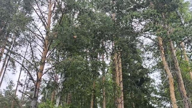Продажа земельного участка в КП Заповедник