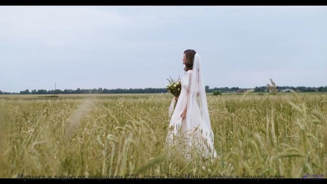 Пейзажи заставляют забыть про реальность с этим саундом - Morning Light -- HoliznaCC0 -- We Drove Al