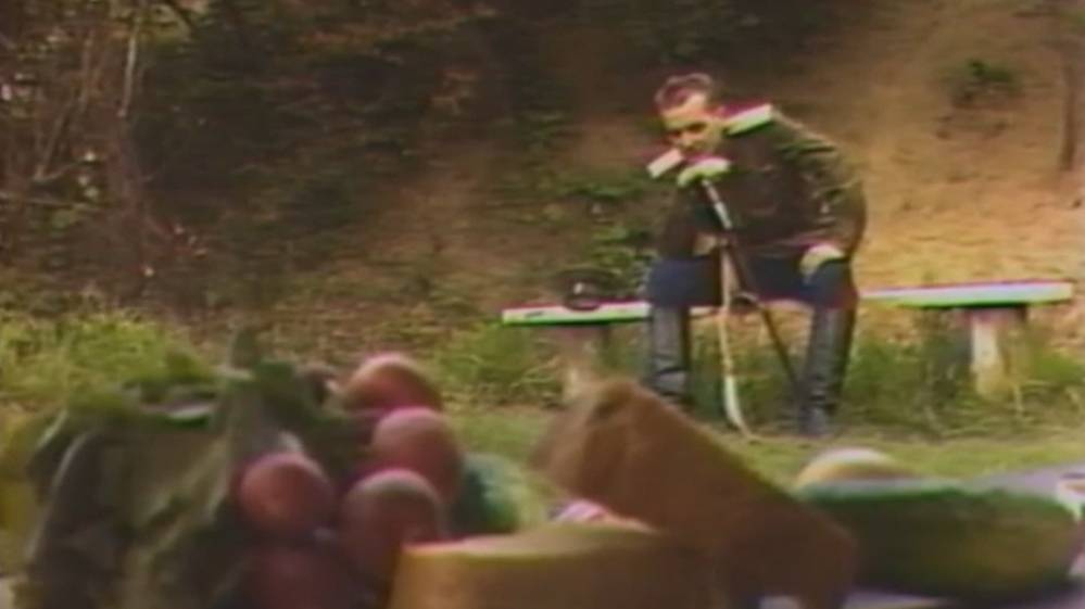 Федор Малышкин. Лебедушка. 1982г. Видео 1994г.(НО)
