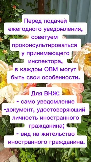 ЕЖЕГОДНОЕ УВЕДОМЛЕНИЕ ПО ВНЖ