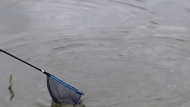1000030830.mp4