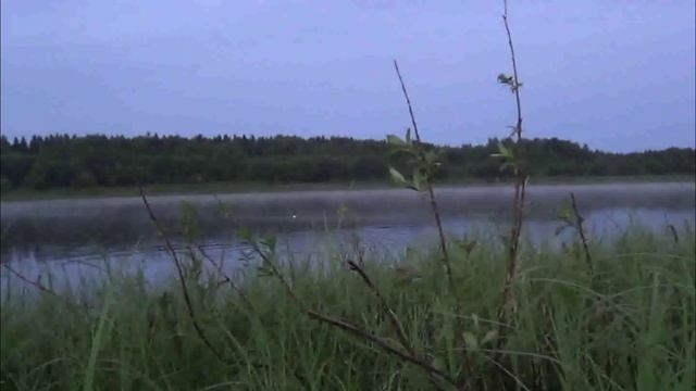 Рыбалка в Архангельской обл.Река Вага.Июнь 2025г.
