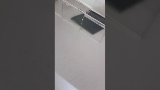 1000003402.mp4