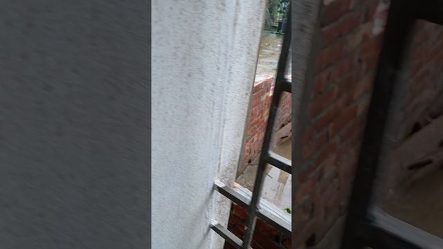 VID_20250618_113433
