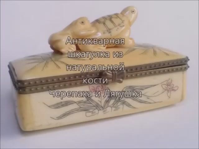 Антикварная шкатулка из натуральной кости, резьба по кости, старинные шкатулки из слоновой кости