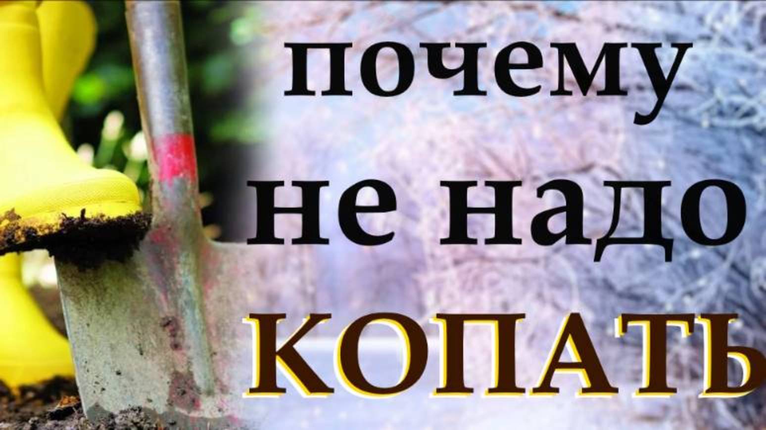 Почему я перестал копать огород? 5 способов сделать землю плодородной без лопаты!