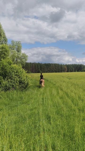 Александр и Каспер, рысь в поле.
