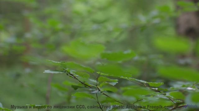 Слушайте её вместе - и почувствуйте, как сердца синхронизируются! - Shining -- Ketsa -- Through to F