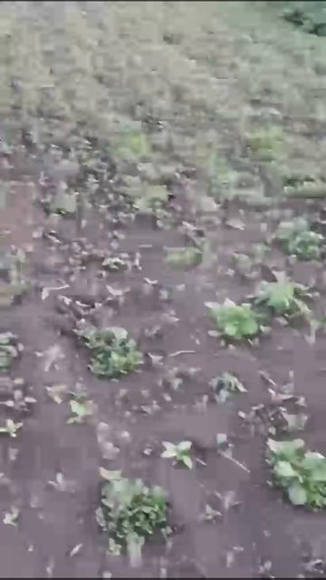 1000126151.mp4