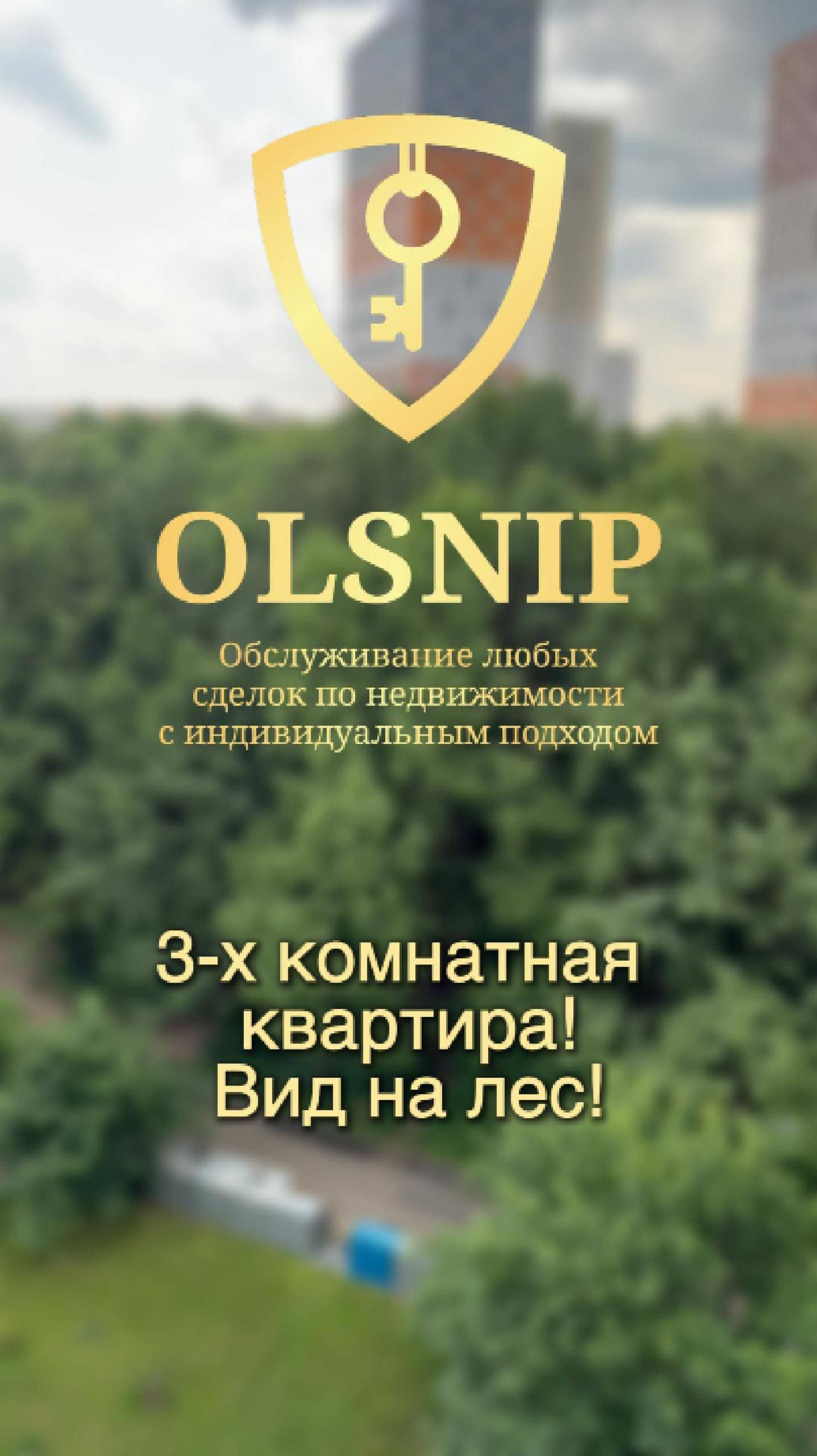 Вид на лес!