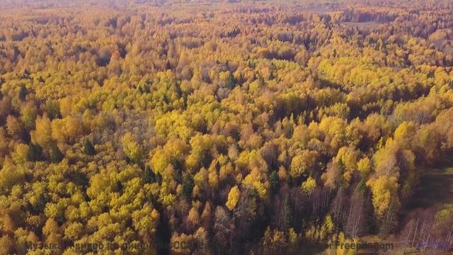 Звуки, используемые для создания параллельных вселенных - фантастика становится реальностью! - Haunt