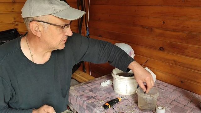 Перепрививка виноградного куста черным в зеленое
