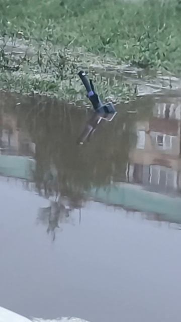Самокаты утонули в Оренбурге