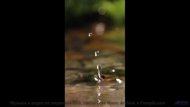 Музыка мечты и виды сказочного леса - Anxiety -- HoliznaCC0 -- Only In The Milky Way Part 1