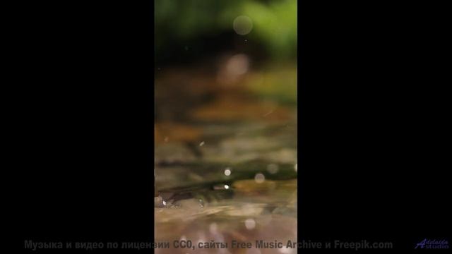 Дикие звери и дикий вайб! - Scaffold of Repeated Addition -- One Man Book -- Life is a Language