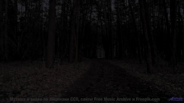 Что скрывает эта гармония Ответ изменит вас! - Nowhere To Be, Nothing To Do -- HoliznaCC0 -- City Sl