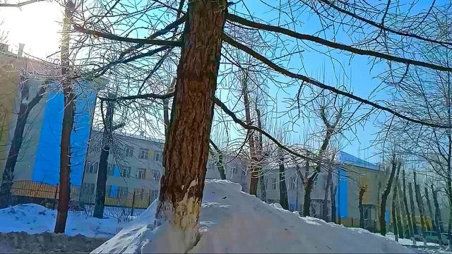 24.2.2021г  Rec 0001