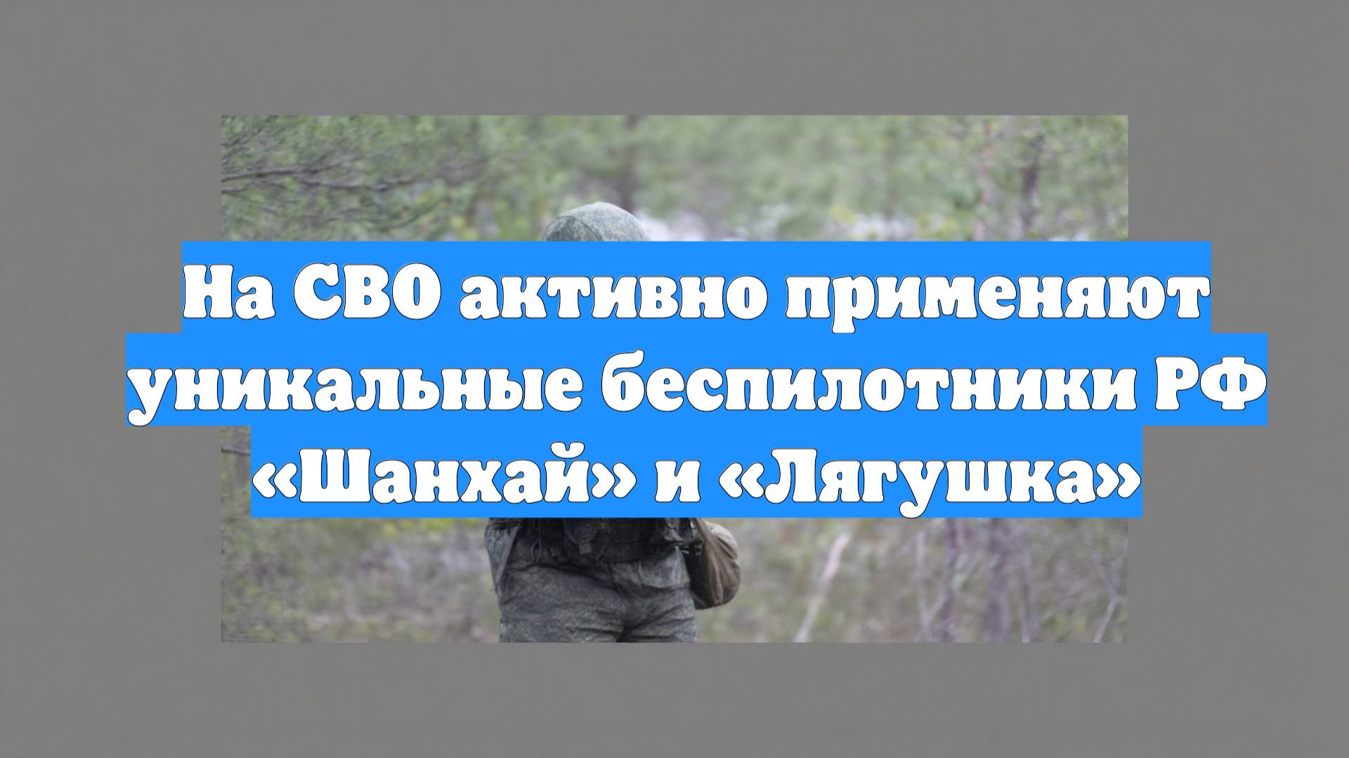 На СВО активно применяют уникальные беспилотники РФ «Шанхай» и «Лягушка»