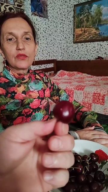 Кормлю Катю черешней, она довольная🍒 #черешня #черешневоенастроение #черешенка #черешня2025