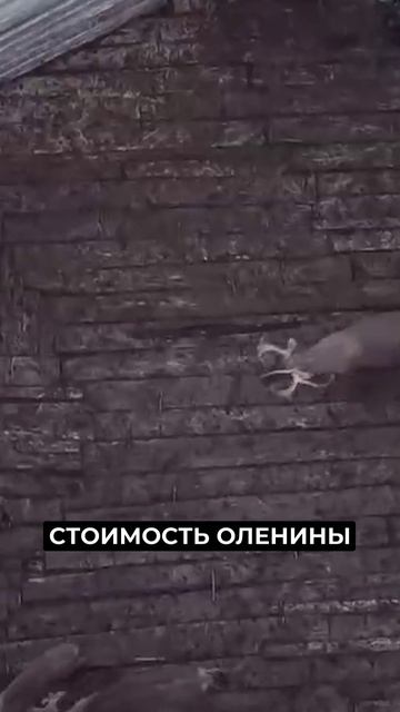 📍Губернатор Ямала посетил стойбище оленеводов в Шурышкарском районе