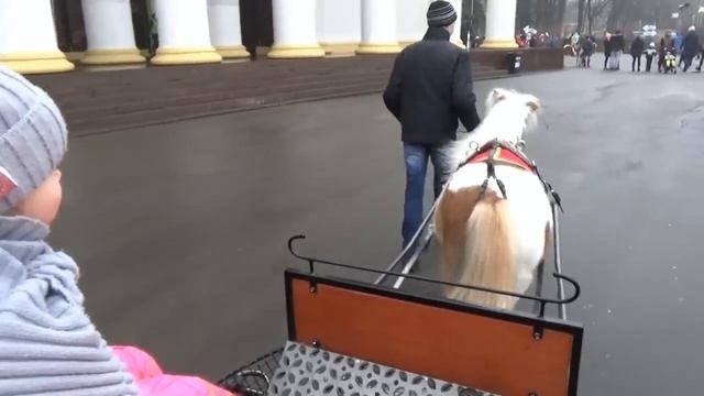 Мисс Кэйти и Мистер Макс (Miss Katy) Подарки Кэти на День Святого Николая