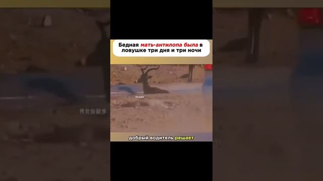 VID-20250617-WA0751