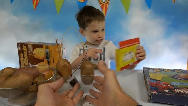 Мистер Макс Электронные часы из картошки DIY