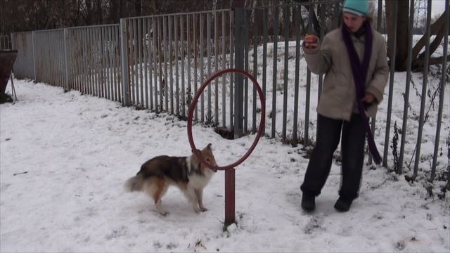 Лета 13.01.2020 2пл