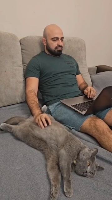 и котику приятно и хозяину удобно