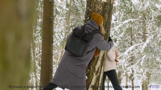 Эта мелодия делает мир ещё прекраснее - From-Pillar-To-Post -- Ketsa -- Collective Consciousness