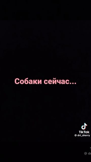 Собаки раньше и сейчас: