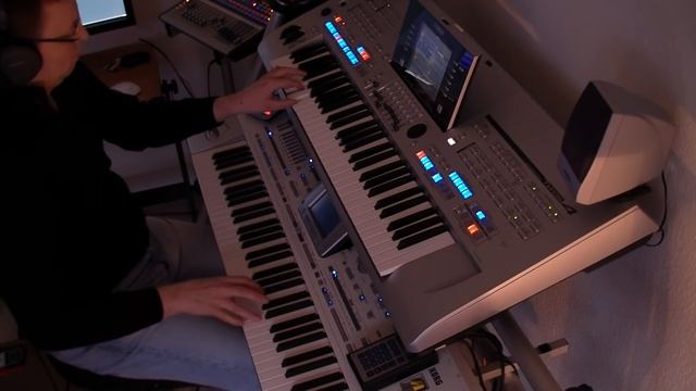 Keine Lügen (Fantasy) - Cover by Schlagerburschi