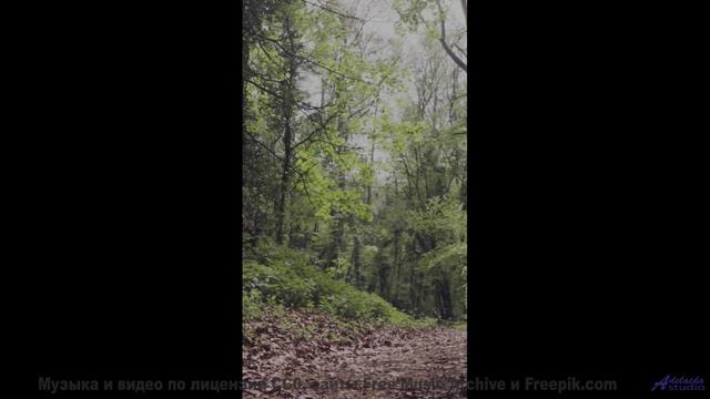Он доказывает, что красота спасает мир! - Sunset Moments -- Scott Holmes Music -- Music for TV + Fil