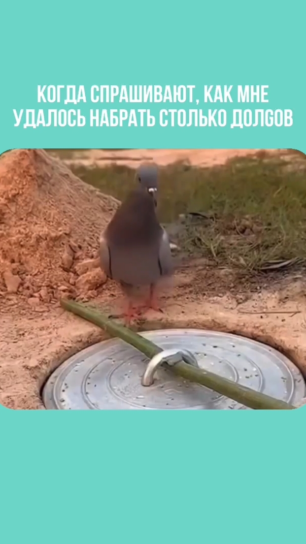 Когда спрашивают, как мне удалось набрать столько dолgов #юристаннамаевская #списаниедолгов #юрист