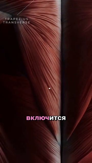 1000006909.mp4