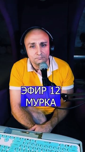 МУРКА 2 ЭФИР 12  Клондайс кавер
