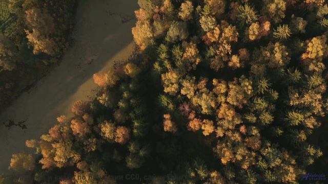 Водопад обрушится на ваши уши! - The Way I Feel -- Derek Clegg -- Good Graces