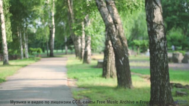 Почему все помешаны на этом - Easy Day -- Crowander -- Commercial 30 Seconds (filmtv music)