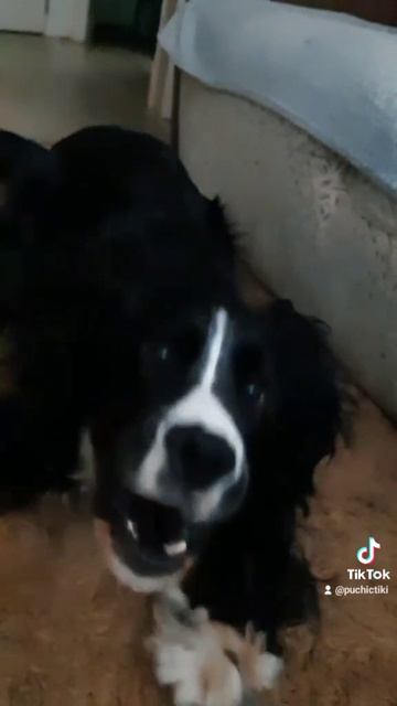 1000023435.mp4