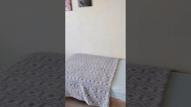 1000042214.mp4
