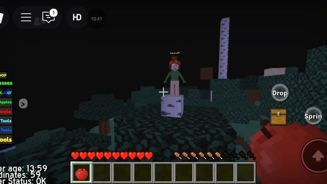играю с подругой у её на приватном сервере roblox