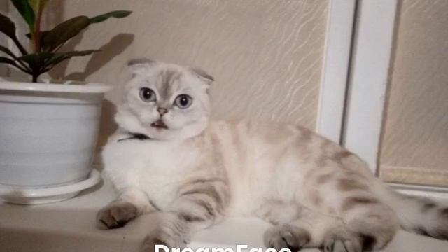 1000016370.mp4