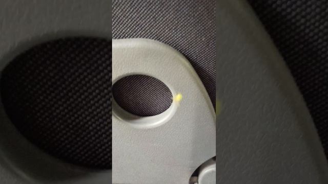 Паучок в автобусе.