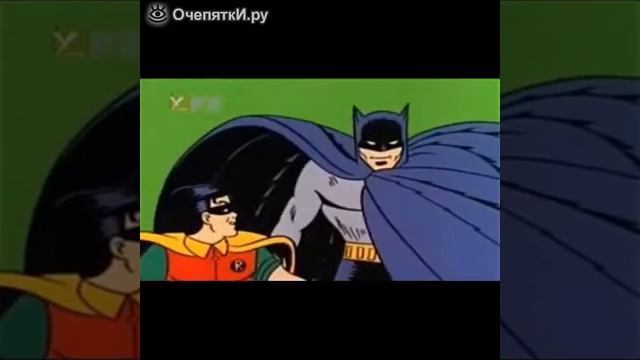 Курьёзы со зверушками