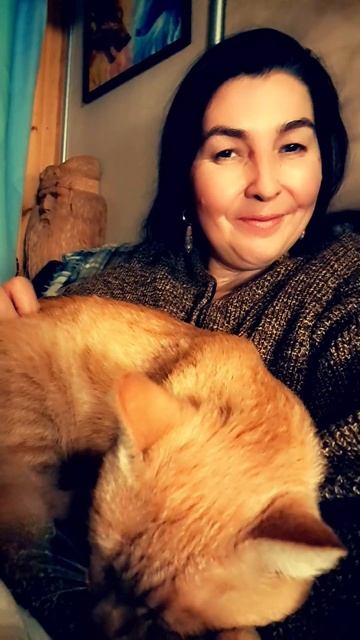 Котики они такие котики