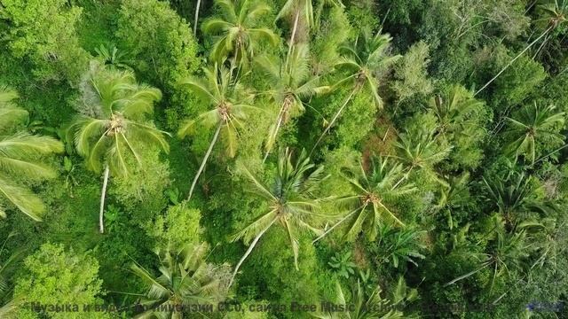 Мелодия, которая звучит как 'я люблю тебя' без слов... - Great Beginnings -- Ketsa -- The New World