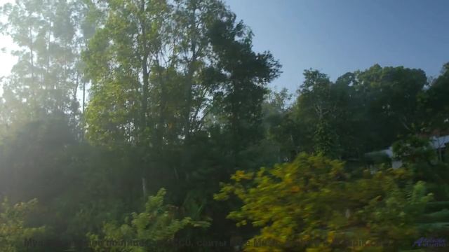 Мелодия открывает новые горизонты прямо на экране - You Wasted My Time When I Was Timewasting -- Pod