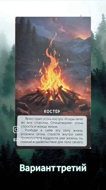 Послания Волшебного леса